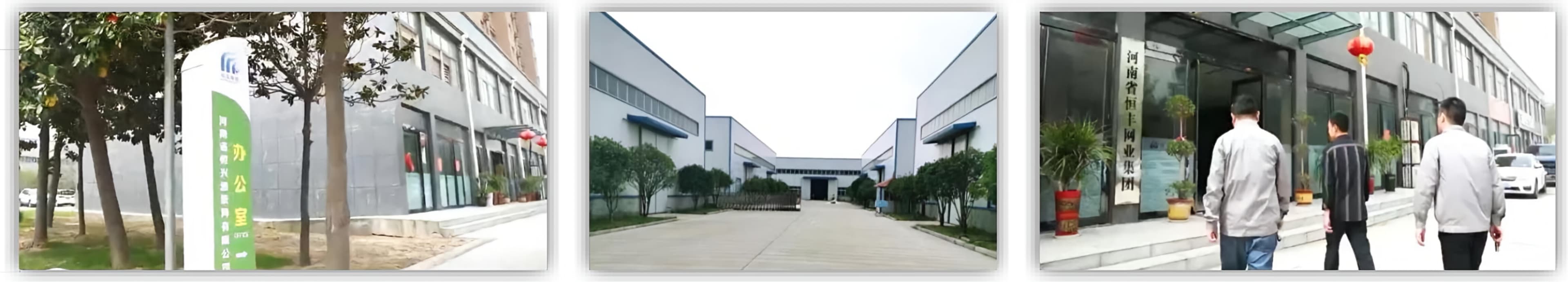 Henan Hengfeng: Excellence Since 1979